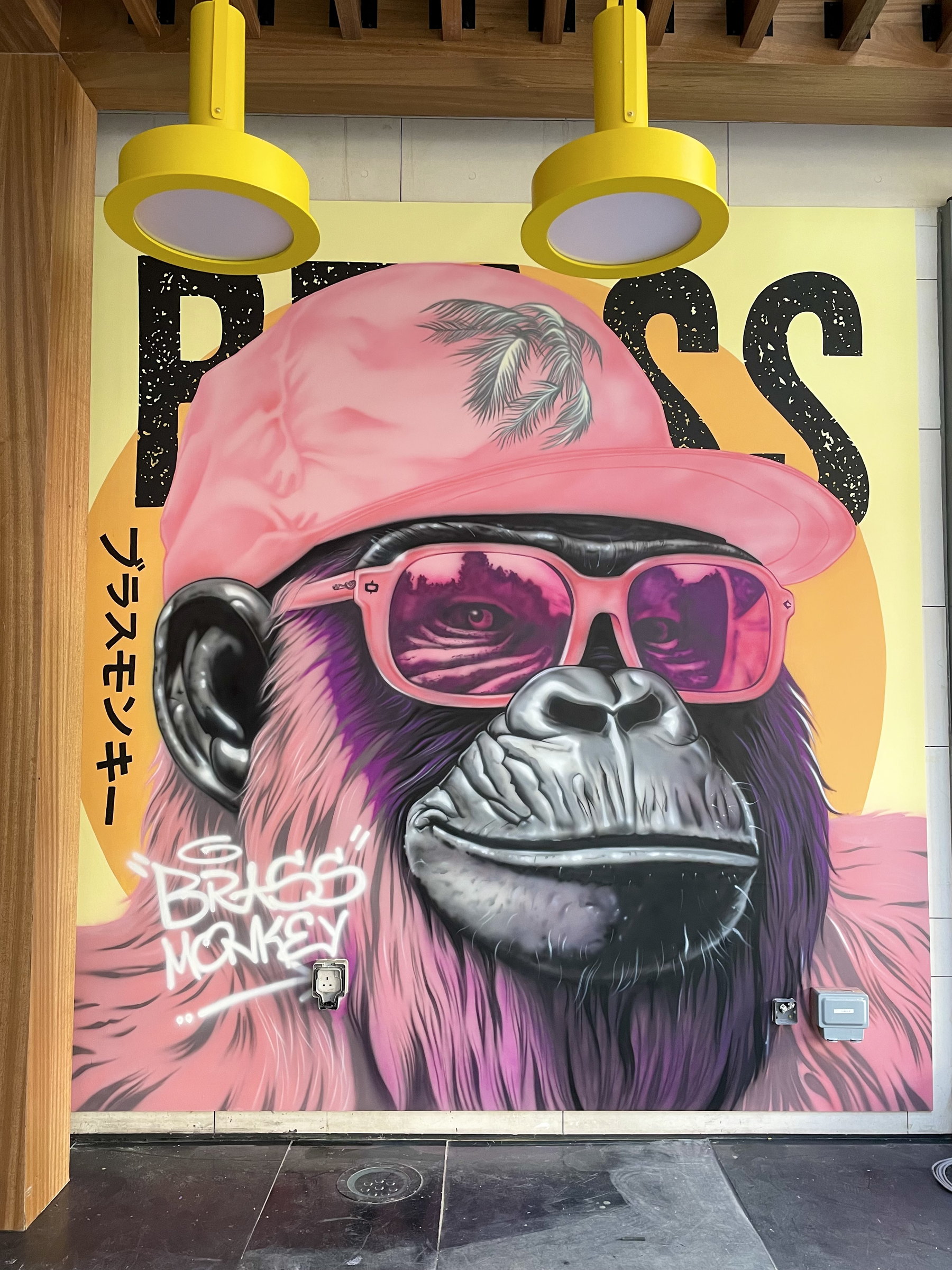 Airbrushed ape in a pink cap and sunglasses at Brass Monkey, City Walk